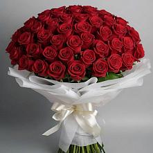 Букет 101 Красная роза Блэк Мэджик #REPLACE_PRED# Аше