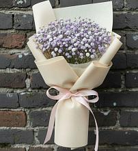Букет цветов из:  Гипсофила в Аше