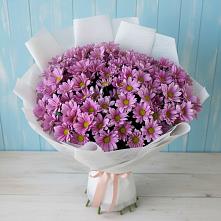 Букет цветов из:  Хризантемы в Аше