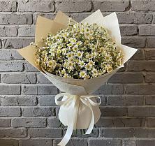 Букет цветов из:  Ромашки #REPLACE_PRED# Аше