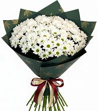 Букет цветов из:  Хризантемы #REPLACE_PRED# Аше