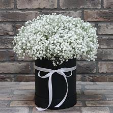 Цветочная композиция из Гипсофила в шляпной коробке в Аше