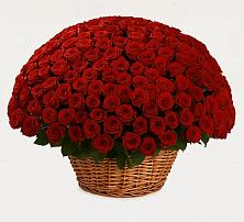 Премиум букет из: Розы #REPLACE_PRED# Аше