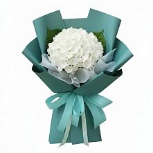 Букет цветов из:  Гортензия в Аше